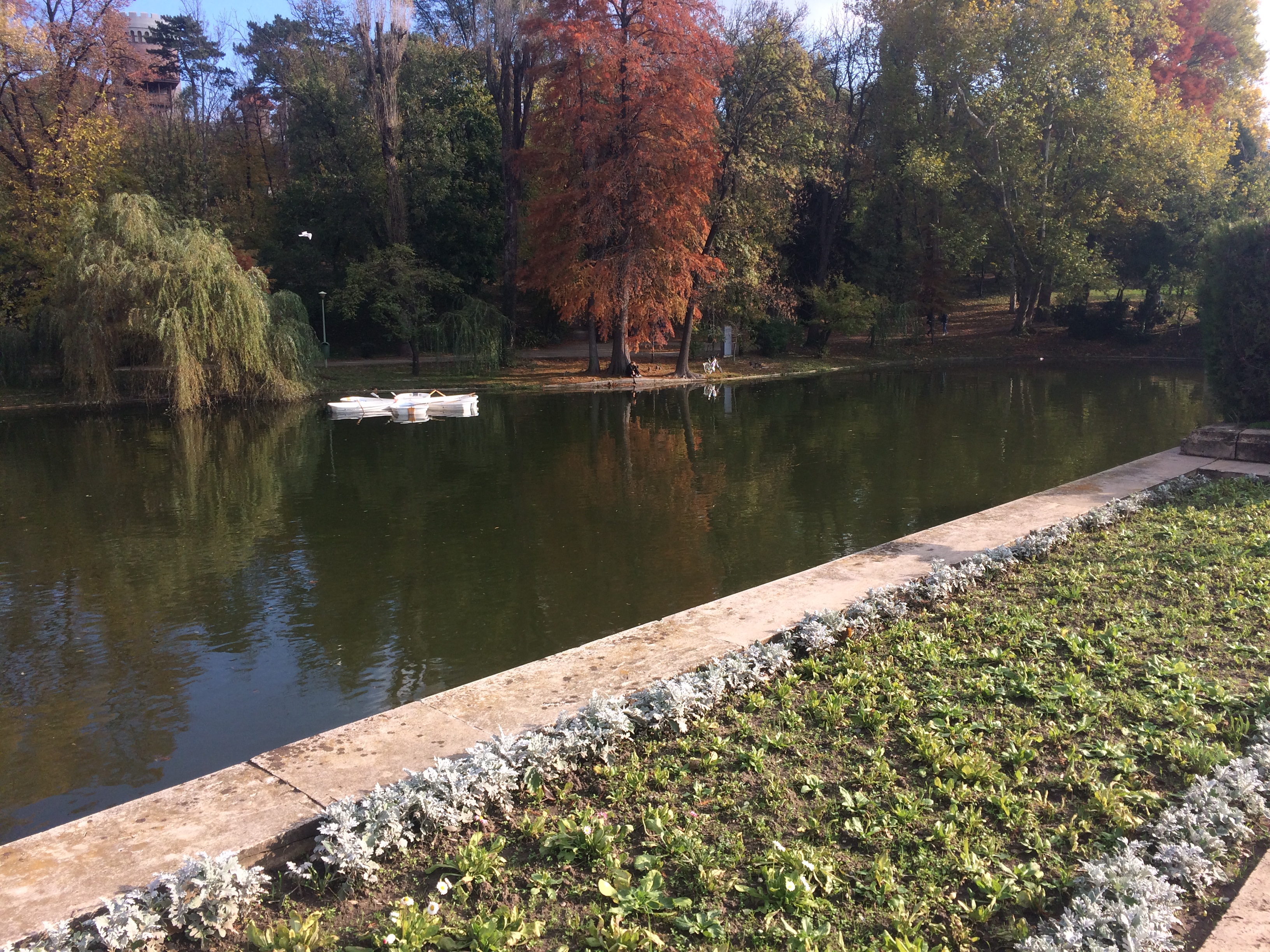 Lake with row boats