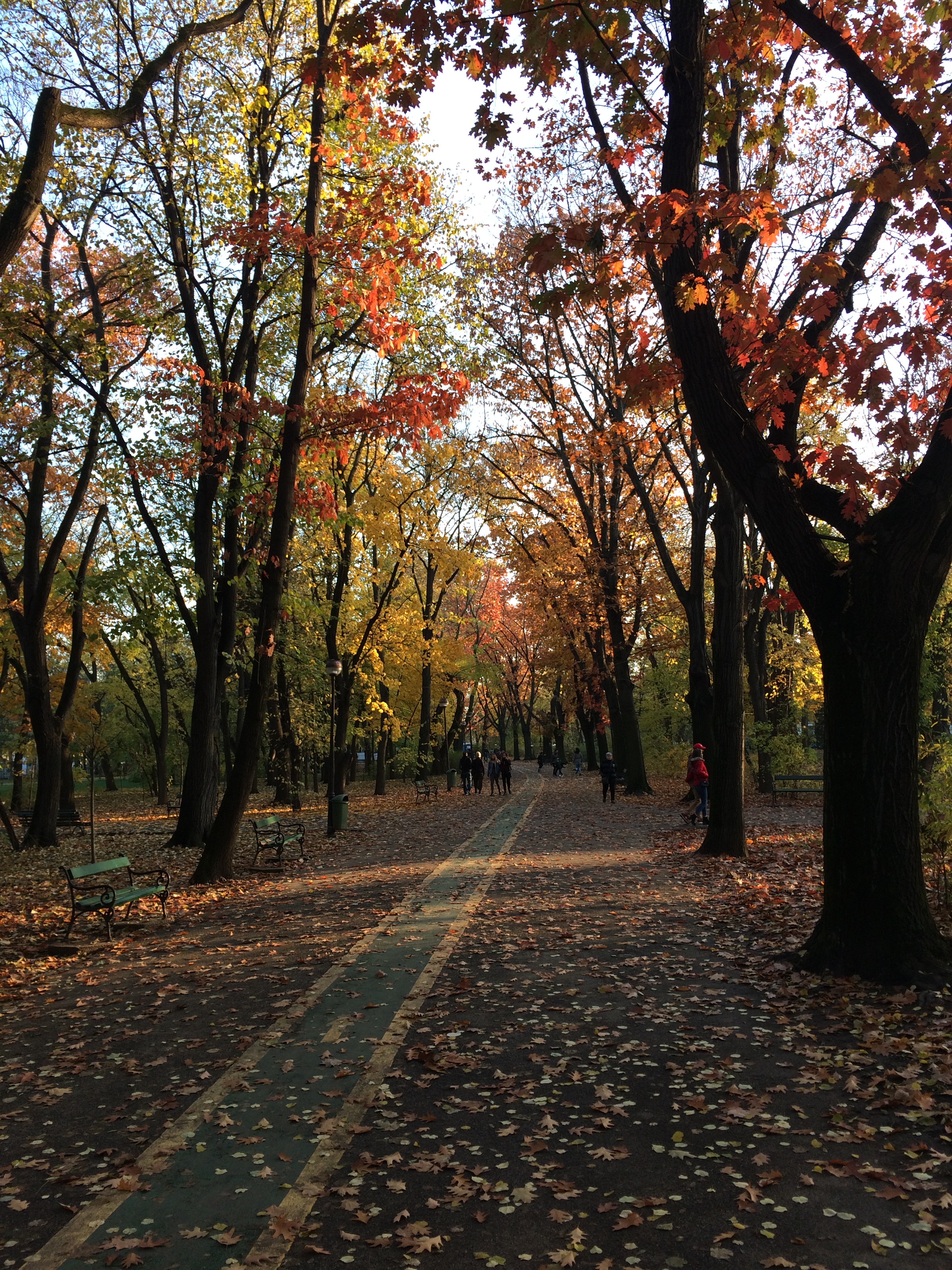 Golden Boulevard