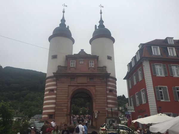 Day 28: North up the Rhein