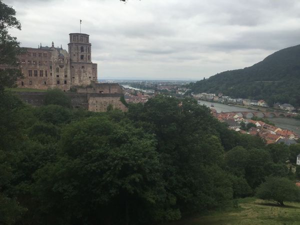 Day 29: The Schloss